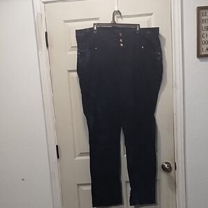 Ashley Stewart Navy Blue Jeans